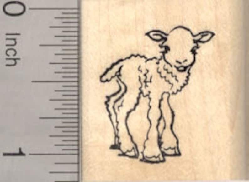 Little Lamb Rubber Stamp, Baby Sheep, Spring, Easter D24417 Wood Mounted image 1