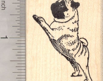 Pug Dog Rubber Stamp, Begging on Hind Legs H24110 Wood Mounted