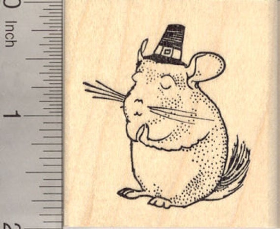 I love my Chinchilla Rubber Stamp H7813 Wood Mounted 