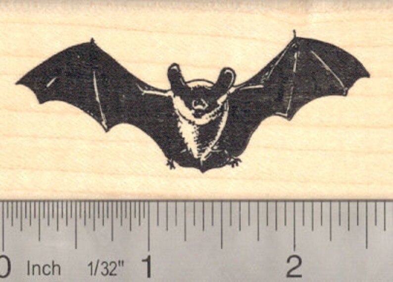Realistic Bat Rubber Stamp G14102 Wood Mounted Etsy