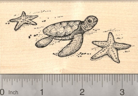 Tortuga Marina Bebe Con Sello De Goma De Estrella De Mar Etsy Tortuga Marina Bebe Con Sello De Goma De Estrella De Mar Etsy