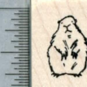 Tiny Groundhog Rubber Stamp A31618 Wood Mounted