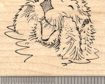 Playful Sea Otter Rubber Stamp, In Water, Talking  G21016 Wood Mounted