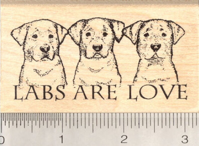 Labrador Retriever Labs Are Love Rubber Stamp K5503 Wood Mounted image 1
