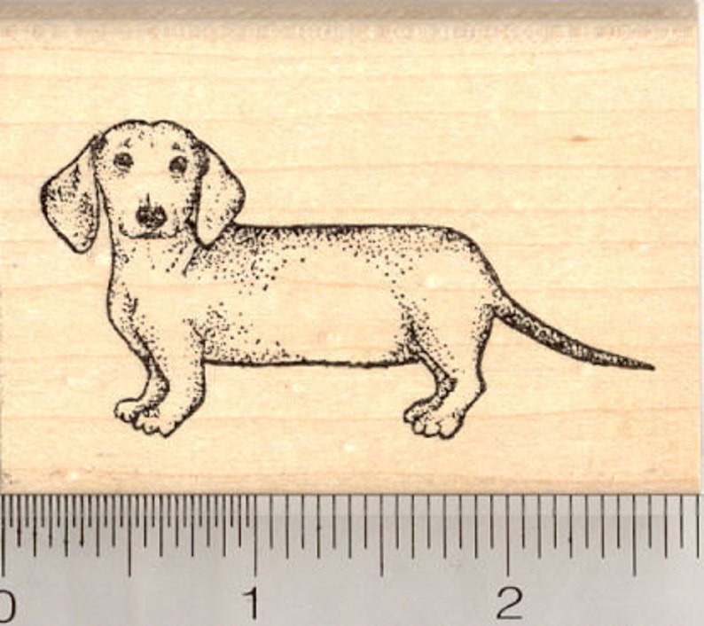 Dachshund Rubber Stamp, Wiener Dog J5014 Wood Mounted image 1