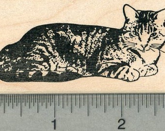Cat Rubber Stamp, Shorthaired Kitty J36206 Wood Mounted