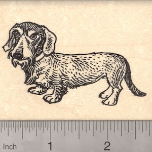 Wire Haired Dachshund Rubber Stamp K7515 Wood Mounted