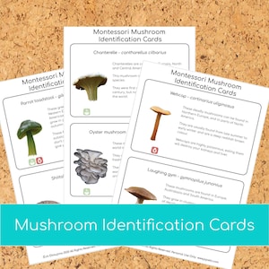 Cartes d'identification PDF sur les champignons Montessori
