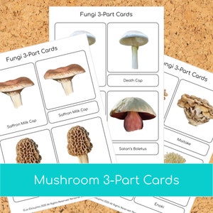 Montessori Mushroom 3 part cards image 1