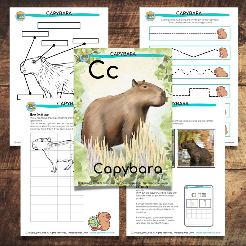 Capybara - Study Unit | Montessori Learning Activities - Etsy