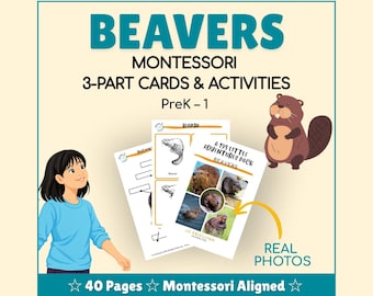 CASTORES. Paquete de 193 Pequeñas Aventuras - Paquetes culturales imprimibles para niños curiosos