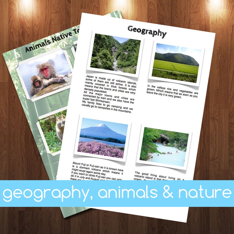 All about japan book