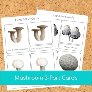Montessori Mushroom 3 part cards image 4