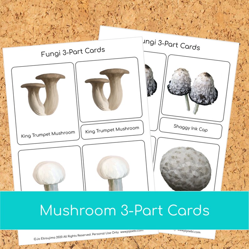 Montessori Mushroom 3 part cards image 4