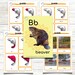 BEAVERS. 193 Little Adventures Pack - Printable Culture Packs for ...