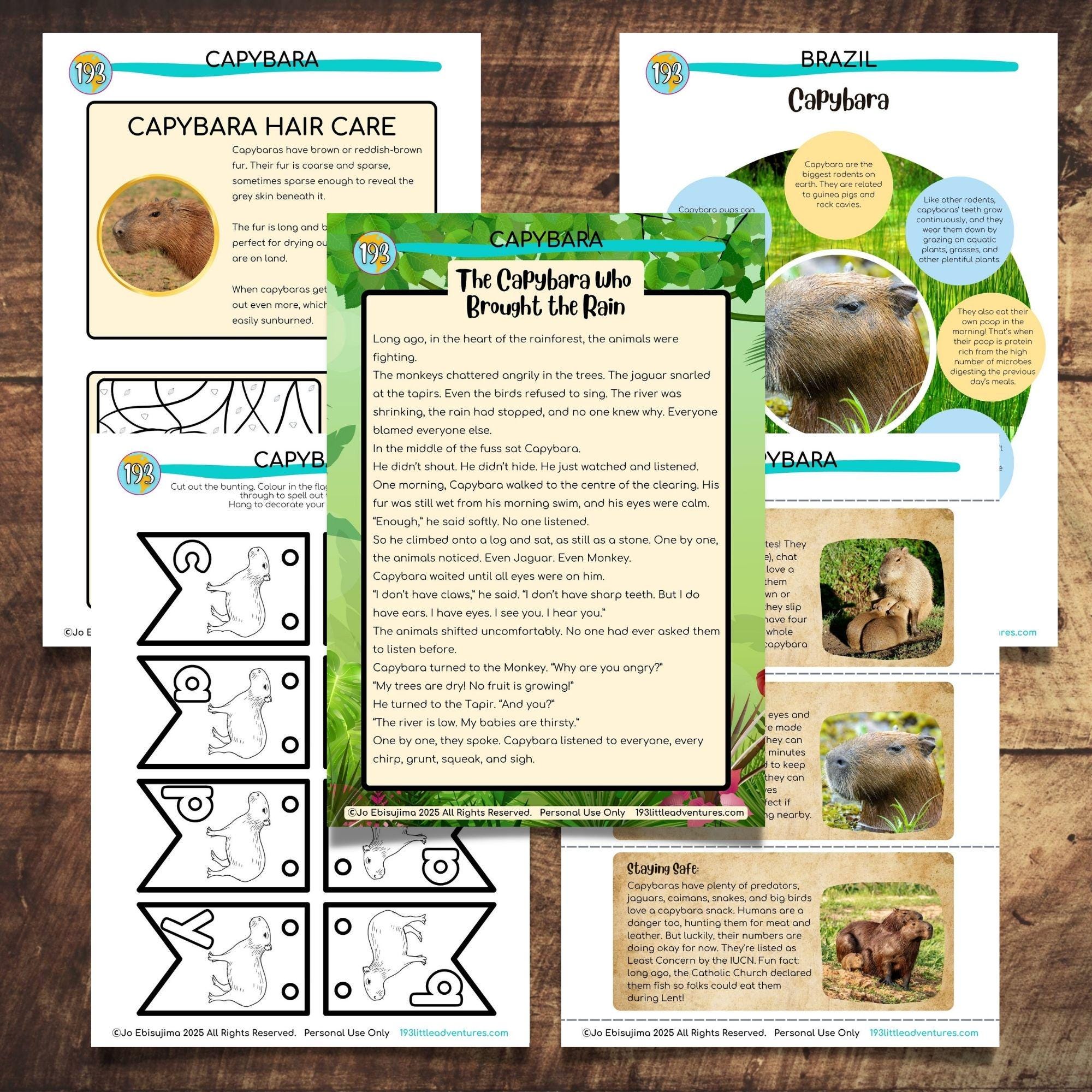 Capybara - Study Unit | Montessori Learning Activities - Etsy
