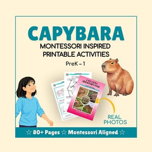 Capybara - Study Unit | Montessori Learning Activities