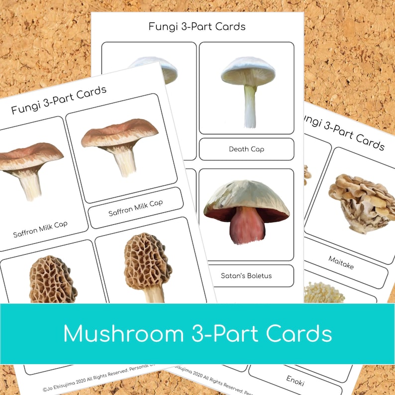 Montessori Mushroom 3 part cards image 1