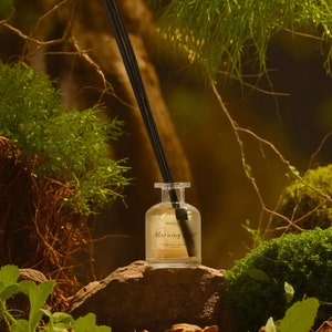 Morning Forest Reed Diffuser, Home Fragrance, Diffuser Oil Set, Bottle With Sticks, Gift for Her