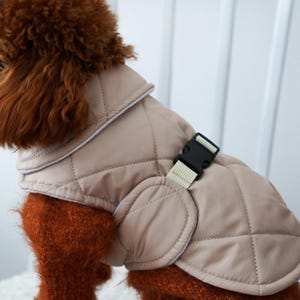 May include: A tan quilted dog jacket with a black buckle closure and a cream-colored strap. The dog is wearing a rust-colored sweater. The dog is sitting on a white chair.