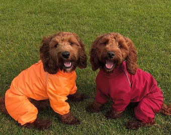 Chubasquero impermeable para perros, chaqueta cortavientos, transpirable, con anillas para correa (XXS-L)