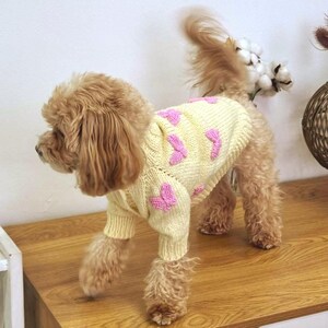 Può includere: Un maglione per cani in maglia giallo chiaro con un motivo di piccole farfalle rosa testurizzate. Il capo presenta bordi a coste sul collo e sulle maniche, offrendo una vestibilità aderente al piccolo cane dal pelo riccio.