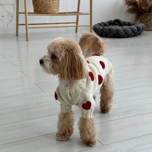 May include: A small, fluffy dog wearing a cream-colored sweater adorned with red heart-shaped appliques. The dog is standing on a light-colored wooden floor. The sweater covers the dog's torso and legs, creating a cozy and stylish look.