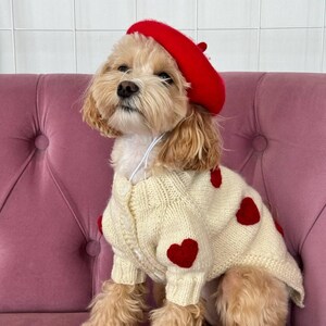 May include: A small dog wearing a red beret and a cream-colored sweater adorned with red hearts. The dog is sitting on a pink velvet surface, with a white tiled background.