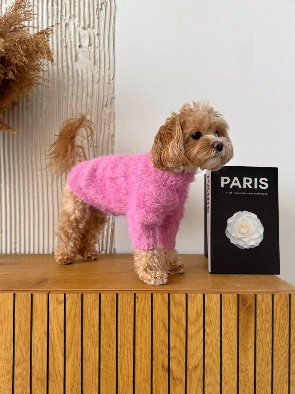 Poodle Maltipoo Dog Fashion Mouse Pad with Stitched Edge Square 並行輸入品 Maltipoo Dog Fashion Chic Metal Signs Outdoor Country Patio Signs Dog And  Cat Lover Animal Room Decor for Men Garage Signs for Laundry Gate Outdoor