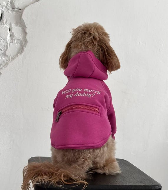 Dog Sweatshirt Personalized Dog Hoodie Custom Pet Sweatshirt