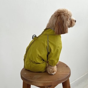 Wasserdichter Hunde-Regenmantel - Kleidung für kleine Hunde, leichter Haustiermantel