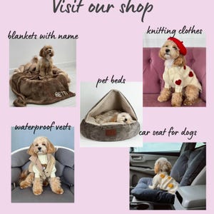 Dog Waterproof Winter Coat With Warm Fleece Lining - Dog Clothes image 13