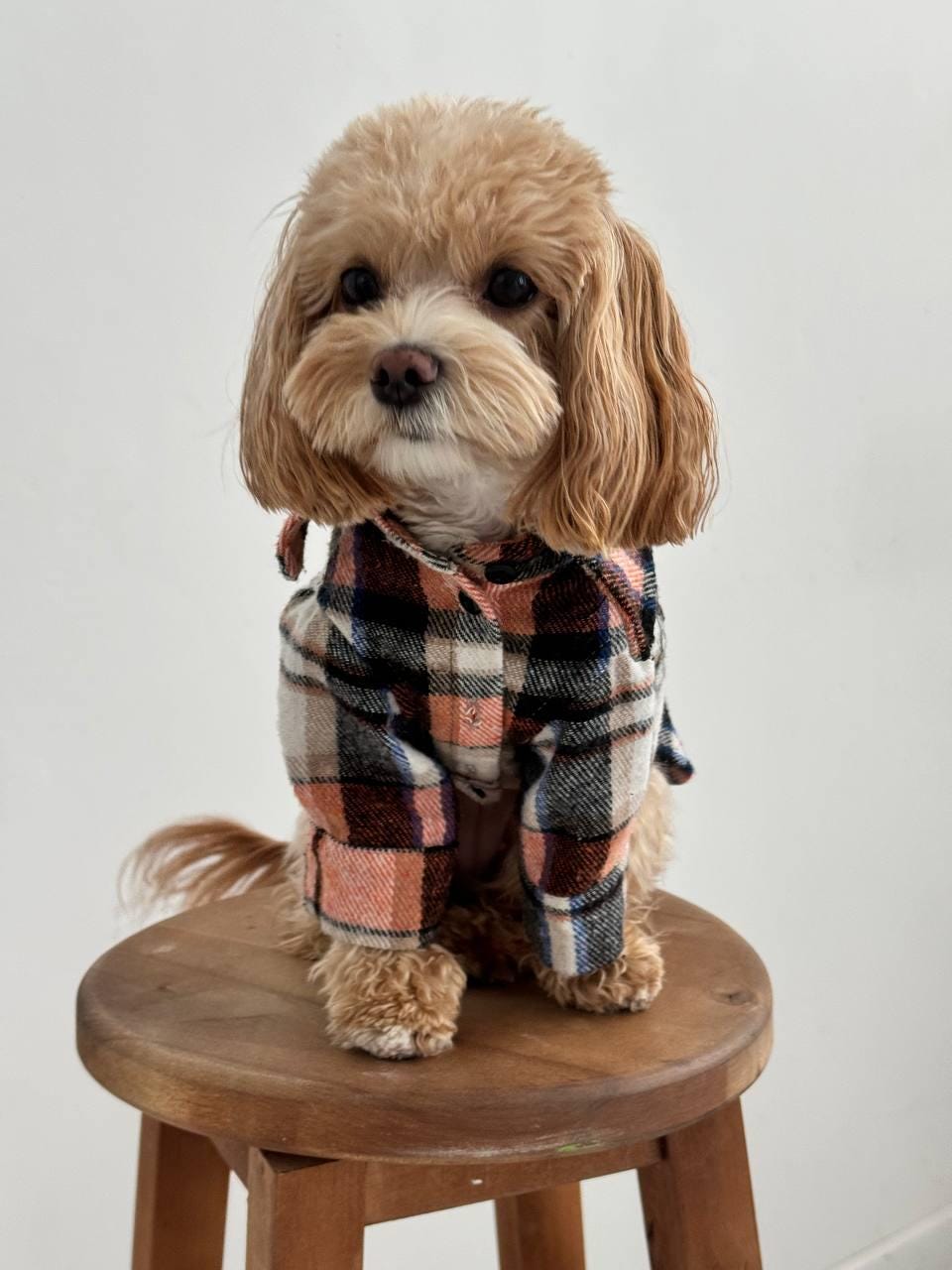Custom Dog Flannel Shirt, Cotton Plaid Dog Clothes for Dog Moms, Made ...