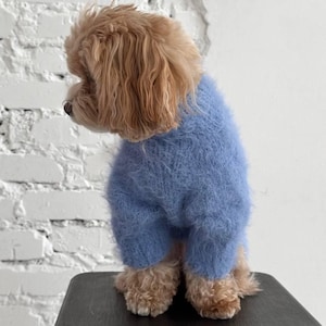 以下が含まれることがあります： 明るい茶色の小型犬が、水色のふわふわセーターを着ています。犬は白いレンガの壁を背景に、暗い表面に立っています。セーターは犬の体と足を覆っています。