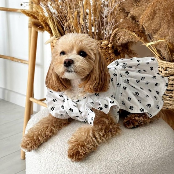 Summer Dog Dress, Organic Cotton Pet Dress for Small Dogs & Cats, Cute Puppy Party Outfit, Lightweight Dog Clothes Summer Dog Dress, Organic Cotton Pet Dress for Small Dogs & Cats, Cute Puppy Party Outfit, Lightweight Dog Clothes