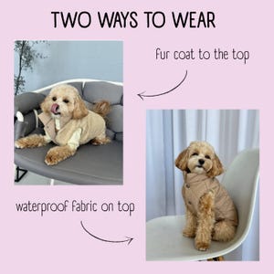 Puede incluir: Dos im&aacute;genes muestran un perro peque&ntilde;o con un abrigo reversible beige. Un lado es de tela impermeable acolchada y el otro es un abrigo de piel sint&eacute;tica suave. El texto "TWO WAYS TO WEAR" est&aacute; en la parte superior de la imagen.