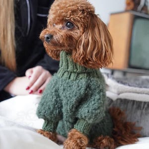 May include: A brown poodle wearing a green turtleneck sweater. The dog is sitting on a white surface. The dog's fur is curly and the sweater has a textured appearance.