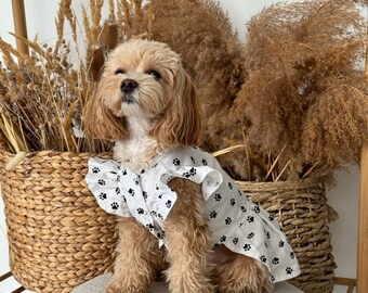 cheap cute dog dresses Dog Dress, Dog Christmas Dress, Cat Dress, Dog Wedding Dress, Dog Dresses for Large Dogs Girl, Girl Puppy Princess Tutu Dress with Leash Ring, Fashion Pet Dog Clothes for Birthday Wedding(2XL-Blue) -