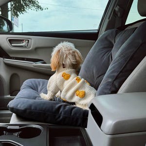 Car seat cover for pet dog car accessories dog back seat cover