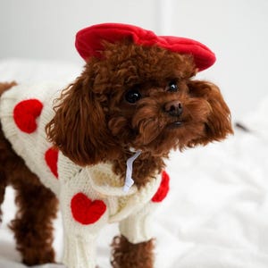 Hand knit custom dog sweater with croched hearts pet apparel warm dog clothing cotton yarn cardigan mohair dog fashion outfit small dog image 2