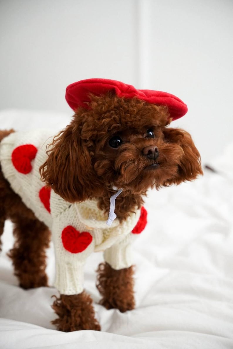 Hand knit custom dog sweater with croched hearts pet apparel warm dog clothing cotton yarn cardigan mohair dog fashion outfit small dog image 2