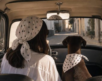 May include: A white headscarf with black polka dots tied at the back of the head and a matching white dog bandana with black polka dots worn around the neck of a brown dog, both positioned inside the interior of a vintage car.