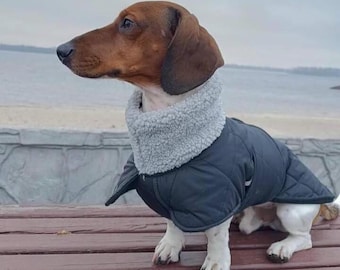 Dachshund Winter Coat, Waterproof Dog Coat with Fleece Lining, Warm Dachshund Jacket, Sausage Dog Coat, Custom Dog Coat