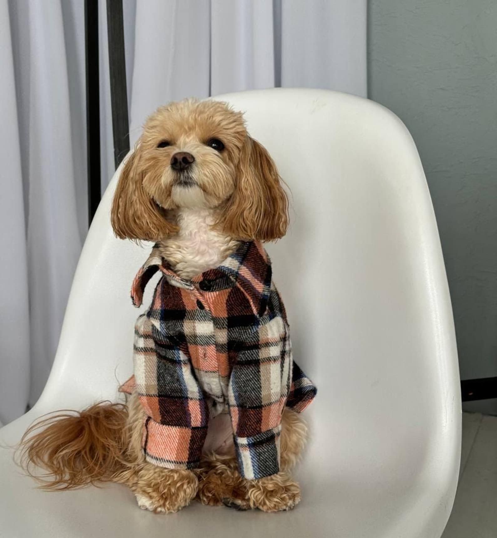 Custom Dog Flannel Shirt, Cotton Plaid Dog Clothes for Dog Moms, Made ...