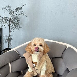 Puede incluir: Un perro peque&ntilde;o, de color marr&oacute;n claro, que lleva un chaleco beige de osito de peluche sobre un su&eacute;ter color crema con un dise&ntilde;o de oso. El perro est&aacute; sentado en un coj&iacute;n gris, con la lengua fuera. El chaleco tiene cierre de bot&oacute;n.