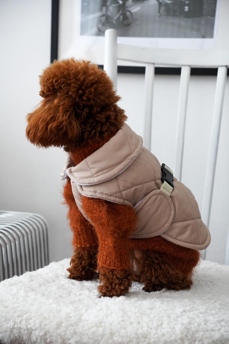 Dog Waterproof Winter Coat With Warm Fleece Lining - Dog Clothes image 8