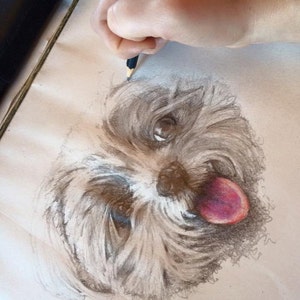 Pet Portrait