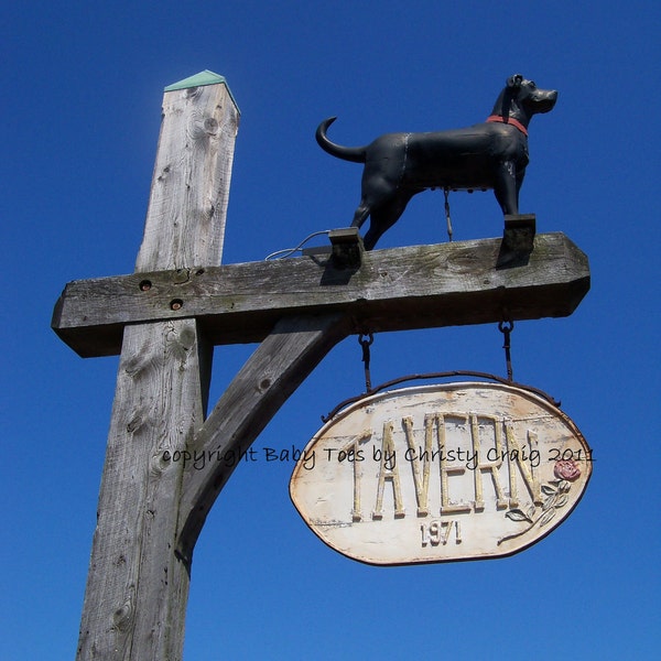 Black Dog Tavern - Martha's Vineyard, MA