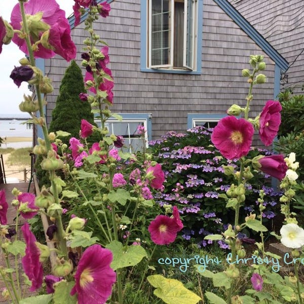 Floral Provincetown, MA