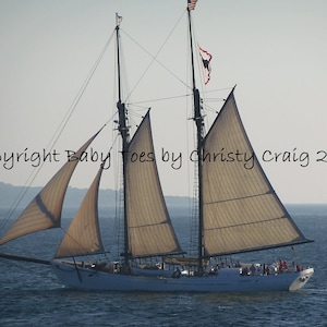 Vineyard Schooner